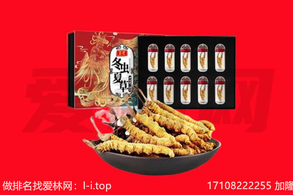 北京平谷区回收虫草.jpg